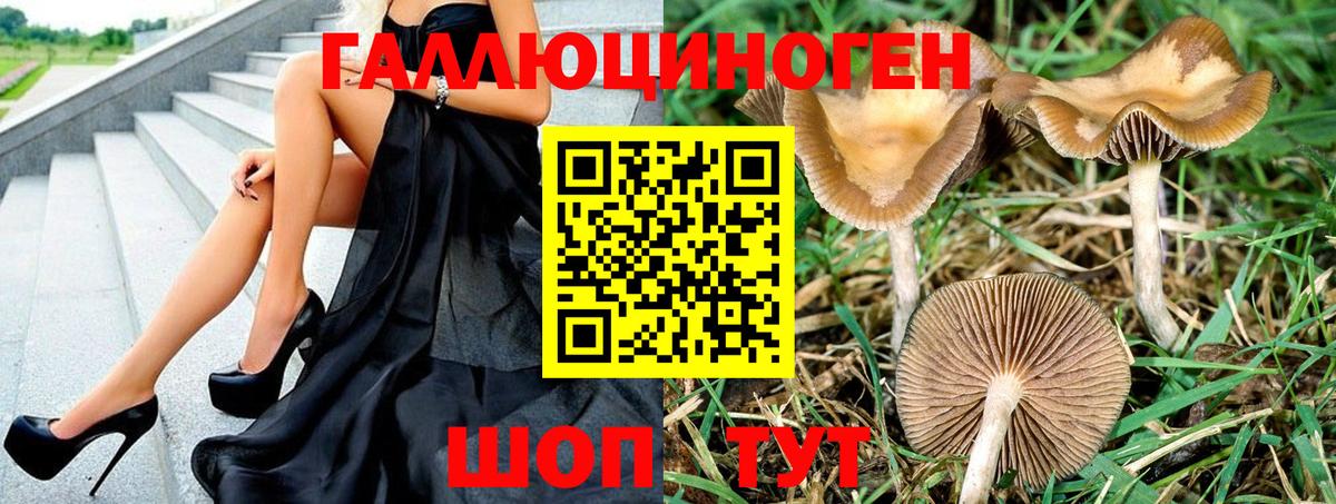 Родники  Псилоцибиновые грибы прущие грибы  Вход с VPN 